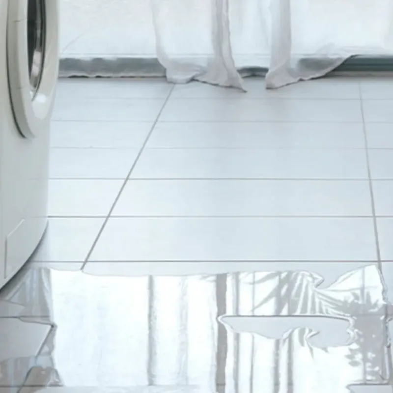 Appliance Leak Cleanup in Groveton, VA