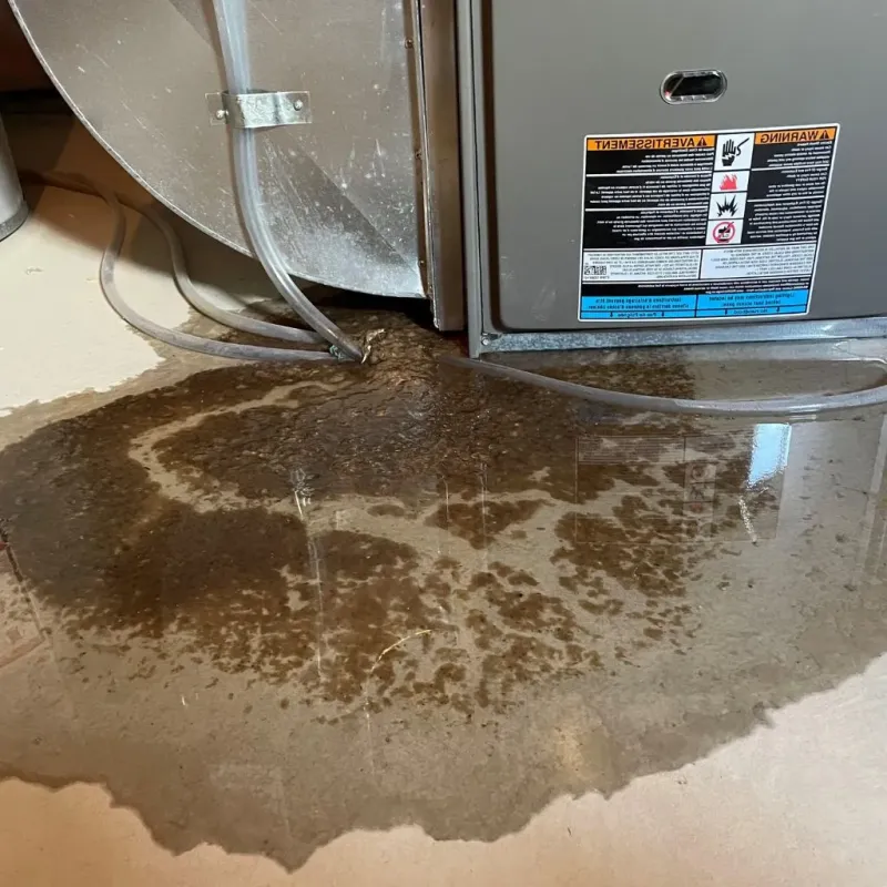 Pipe Burst and Leak Restoration in Groveton, VA